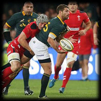 Springboks Wales 1 Willie le Roux